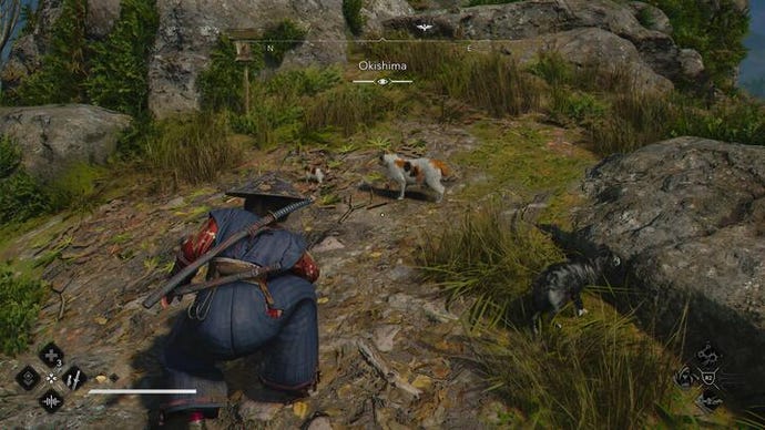 Naoe looks at a cat from a crouching position in Assassin's Creed Shadows.